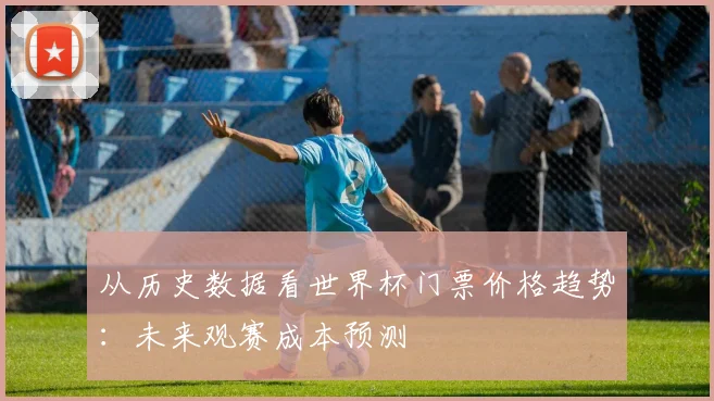 从历史数据看世界杯门票价格趋势：未来观赛成本预测