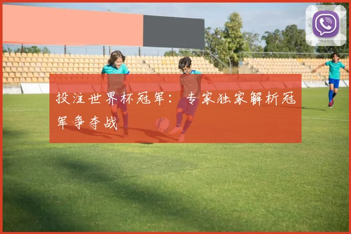 投注世界杯冠军：专家独家解析冠军争夺战
