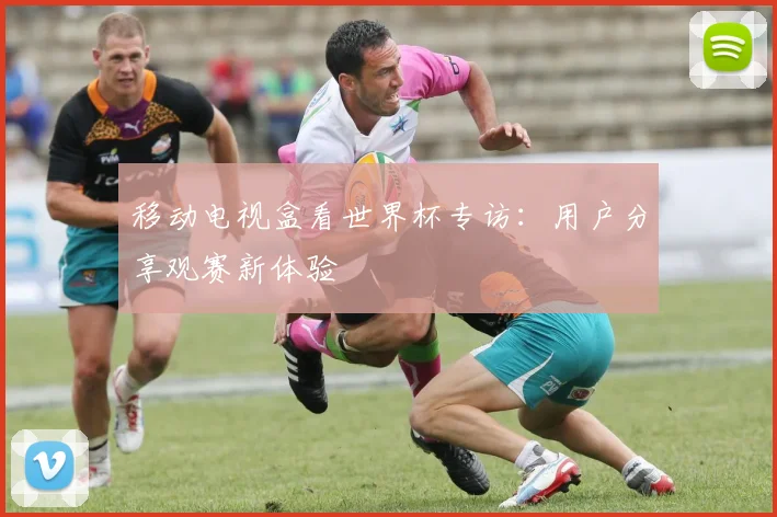 移动电视盒看世界杯专访:用户分享观赛新体验