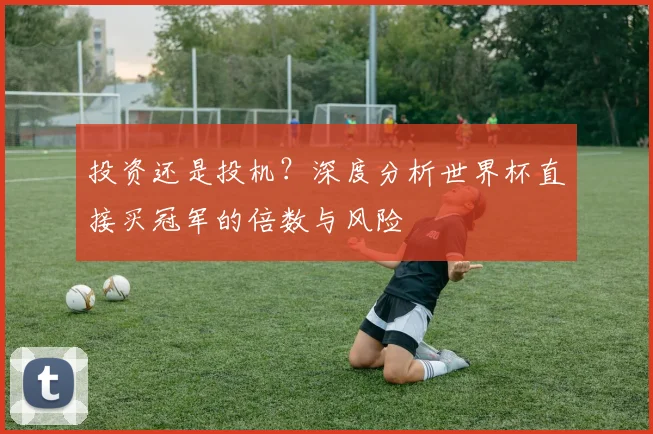 投资还是投机？深度分析世界杯直接买冠军的倍数与风险