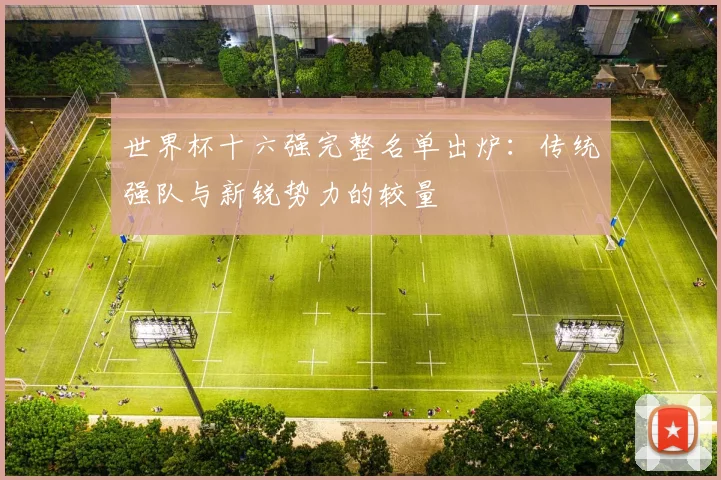 世界杯十六强完整名单出炉:传统强队与新锐势力的较量