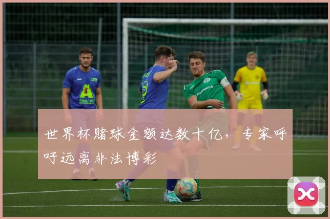 世界杯赌球金额达数十亿，专家呼吁远离非法博彩