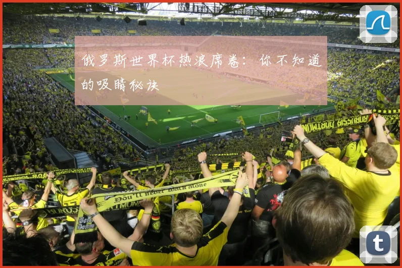 俄罗斯世界杯热浪席卷:你不知道的吸睛秘诀